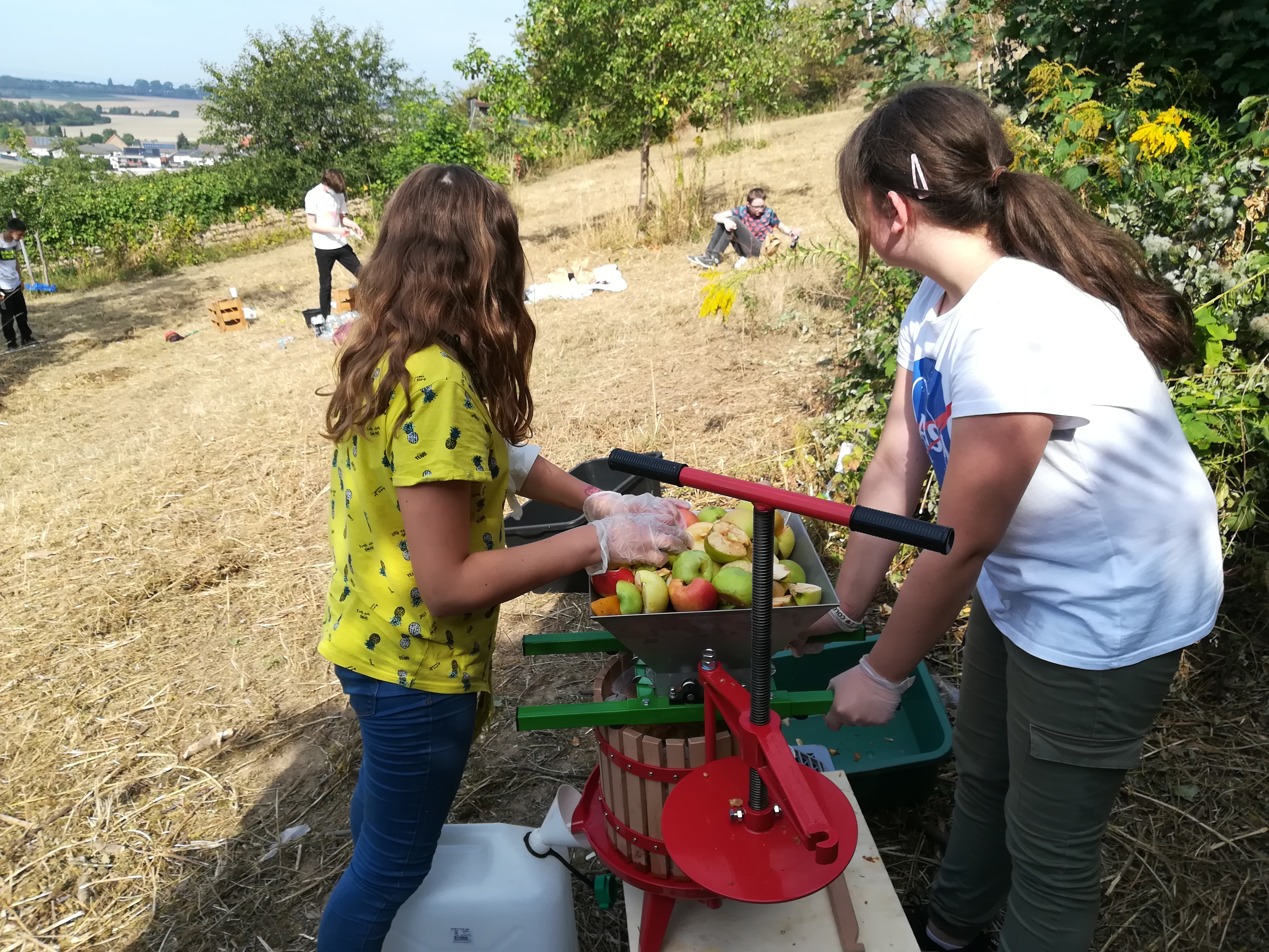Apfelsaft1